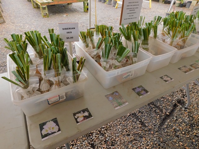 All plants are labeled and have color photos. 
